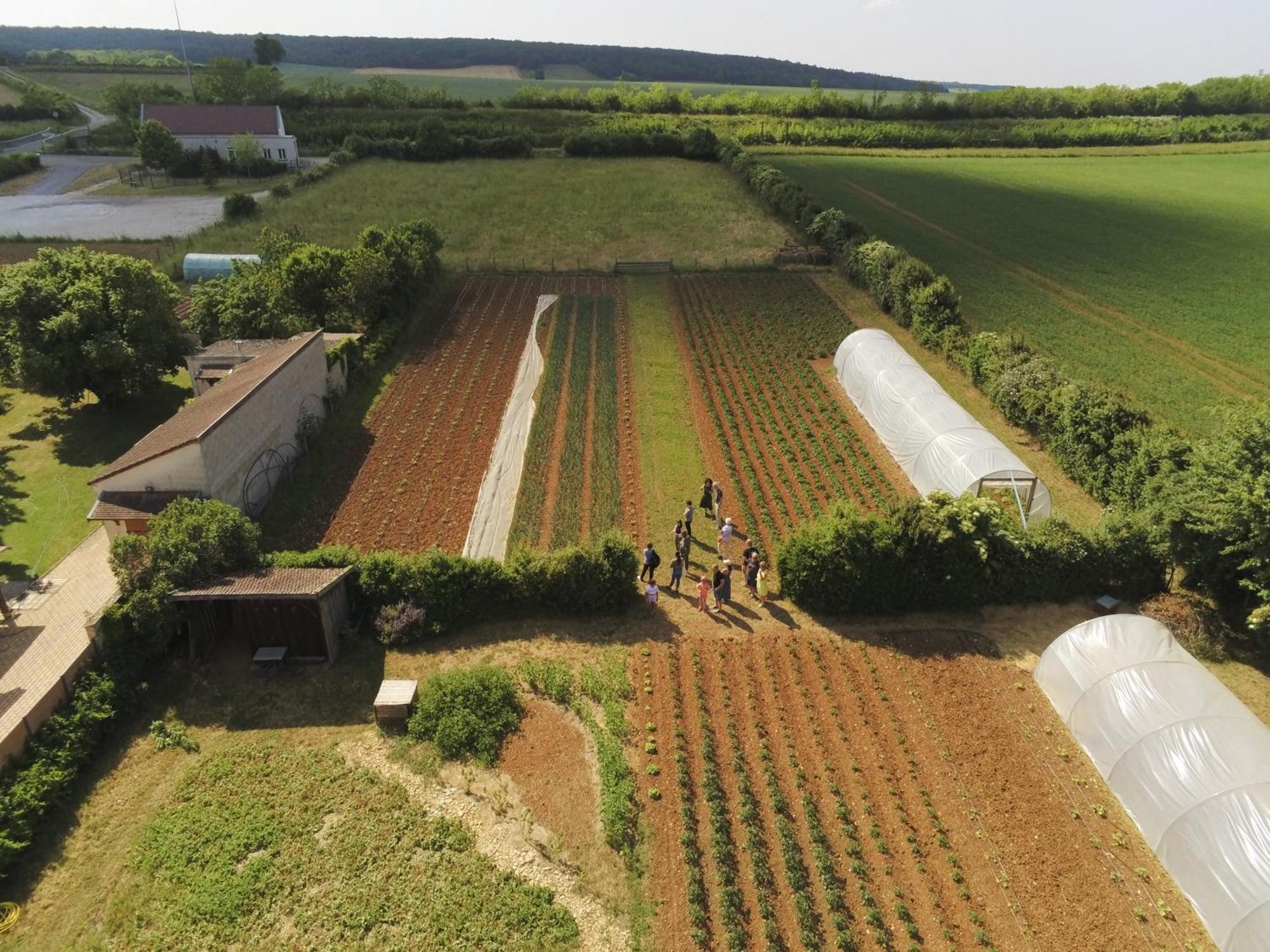 Le Concept-Studio Perrigny-sur-Armancon ภายนอก รูปภาพ